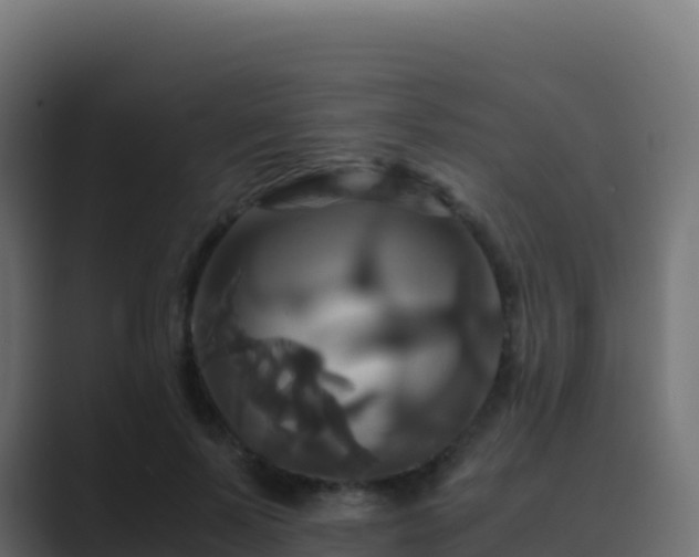 X0000089730695200706281549