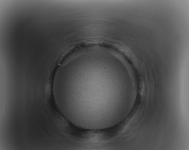 X0000089730697200706281549