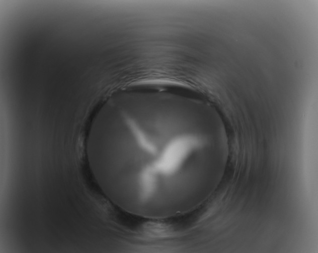 X0000089730699200706281549