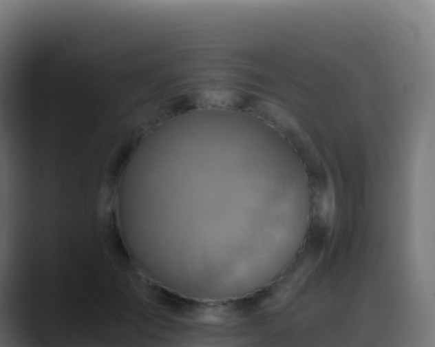 X0000089730701200706281549