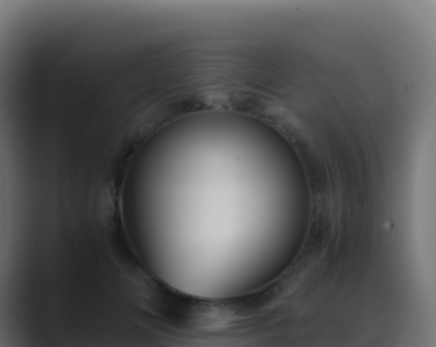 X0000089730702200706281549