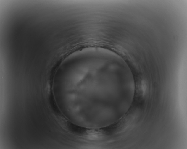 X0000089730703200706281549