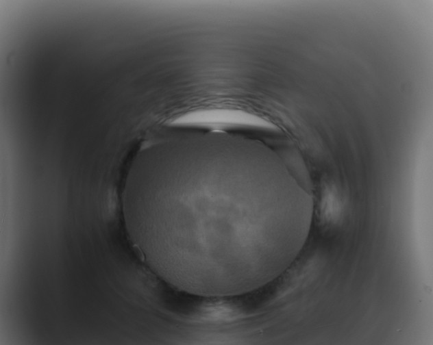 X0000089730704200706281549