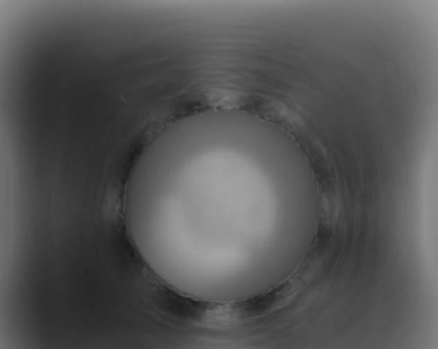 X0000089730705200706281549