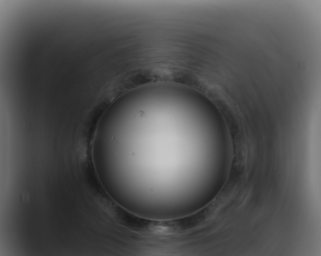 X0000089730706200706281549