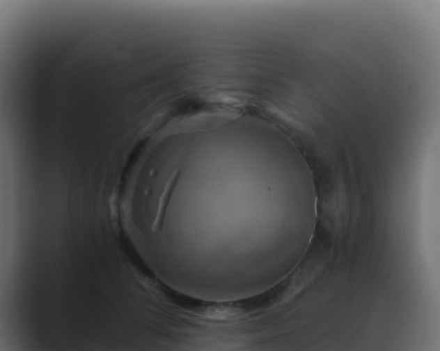 X0000089730708200706281549