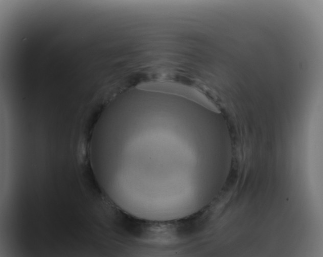 X0000089730709200706281549
