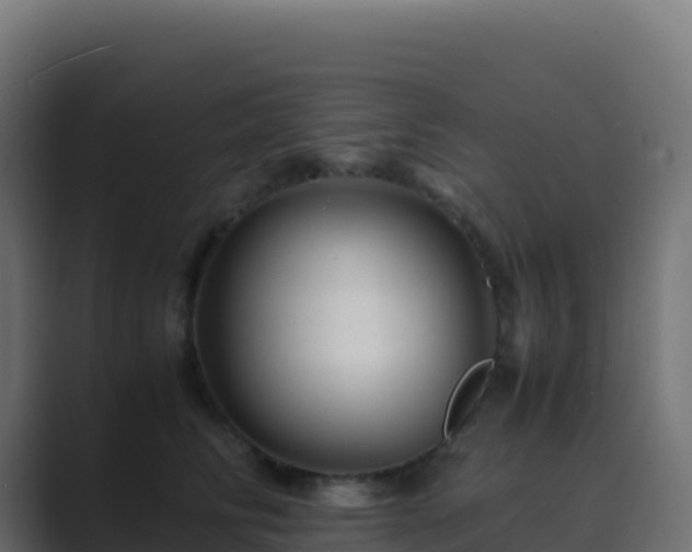 X0000089730710200706281549