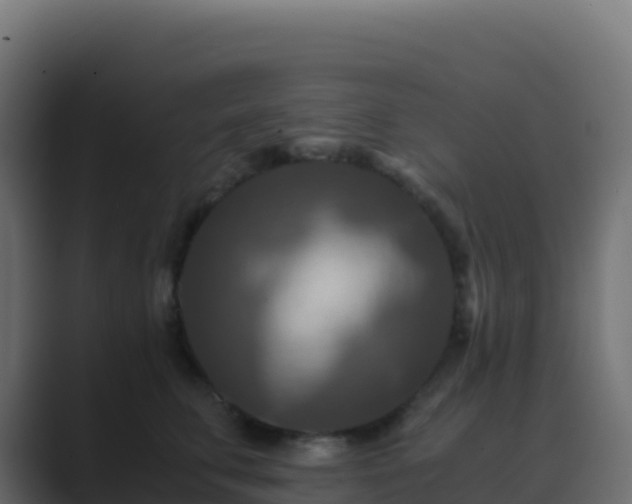X0000089730711200706281549