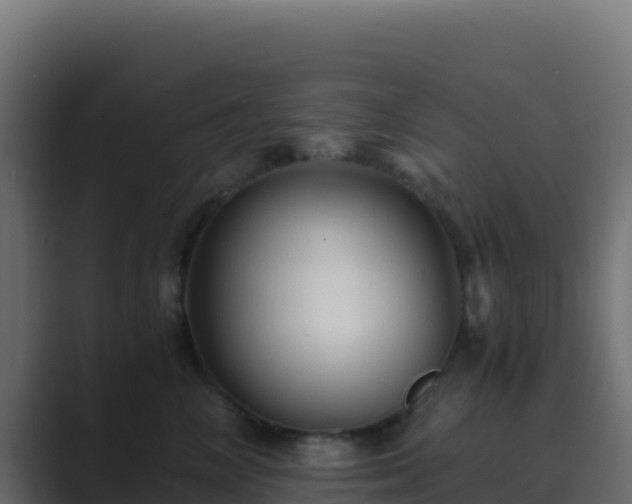 X0000089730714200706281549
