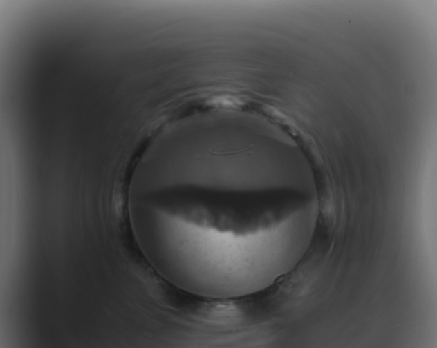 X0000089730715200706281549