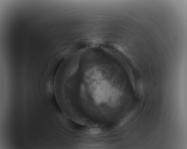 X0000089730719200706281549