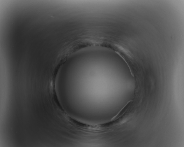 X0000089730720200706281549