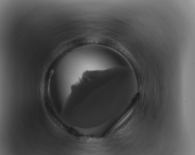 X0000089730722200706281549