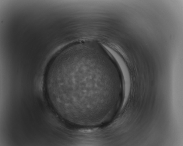 X0000089730724200706281549