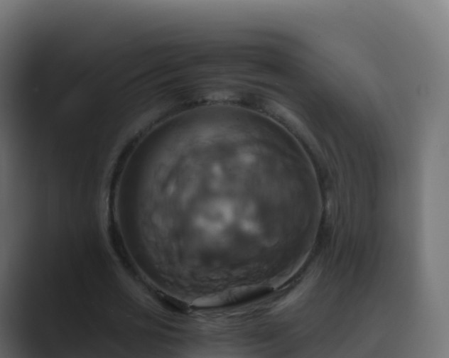 X0000089730725200706281549