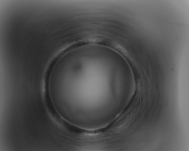 X0000089730726200706281549