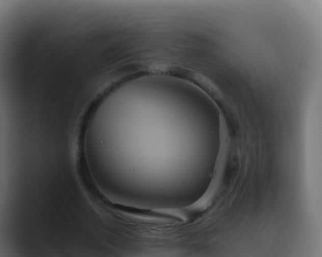 X0000089730728200706281549