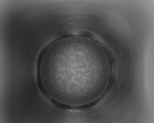 X0000089730730200706281549