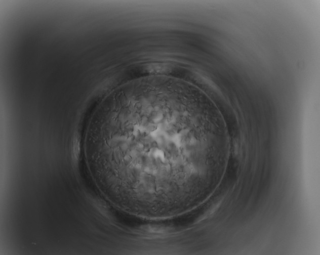 X0000089730733200706281549