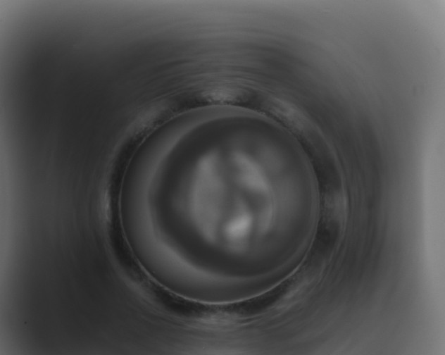 X0000089730734200706281549