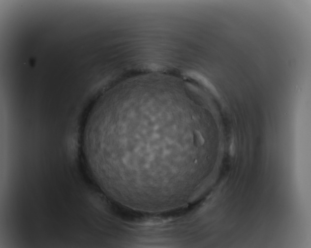 X0000089730736200706281549