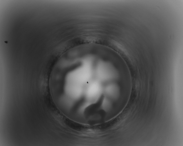 X0000089730737200706281549