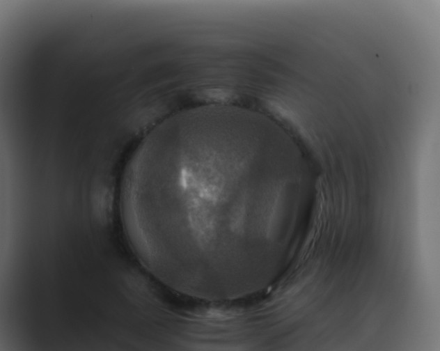 X0000089730739200706281549