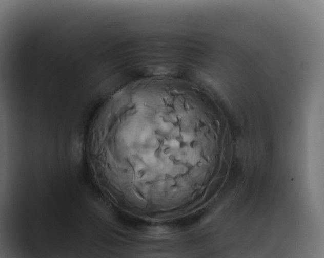 X0000089730741200706281549
