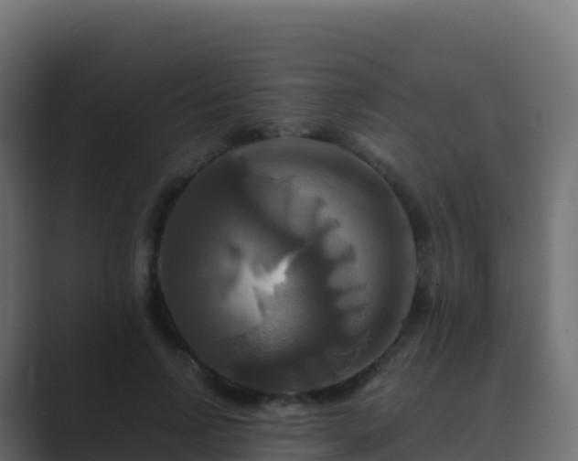 X0000089730742200706281549