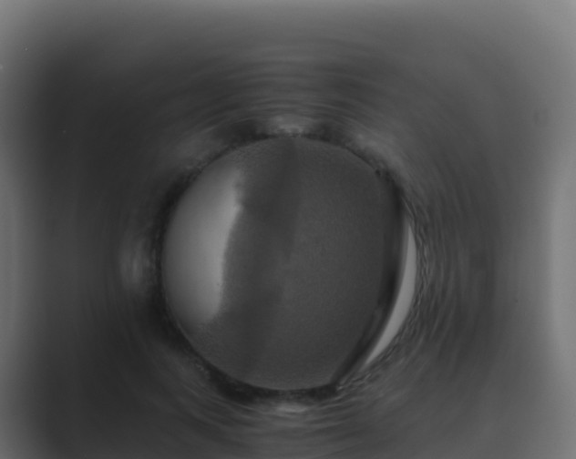X0000089730743200706281549