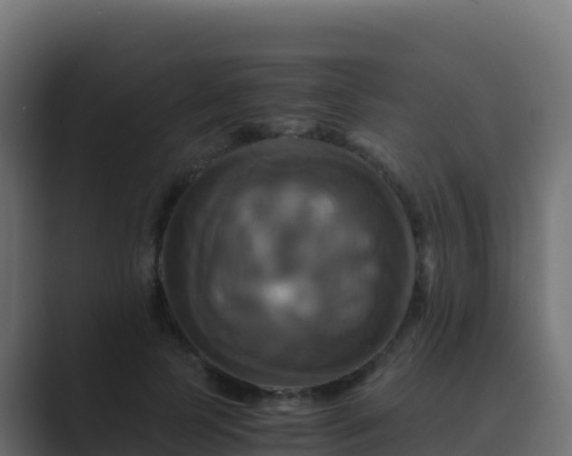 X0000089730745200706281549