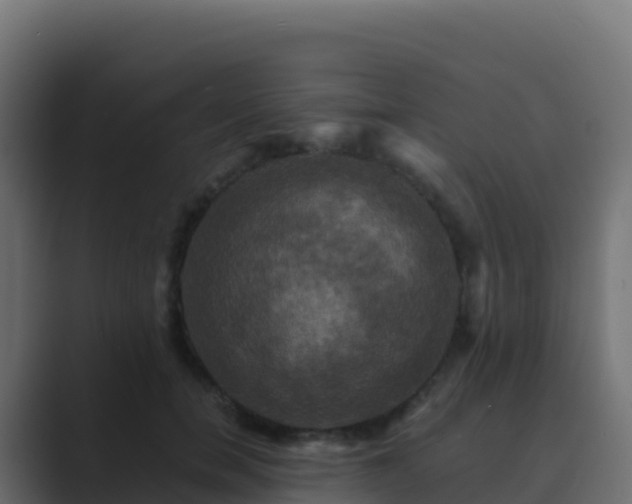 X0000089730750200706281549