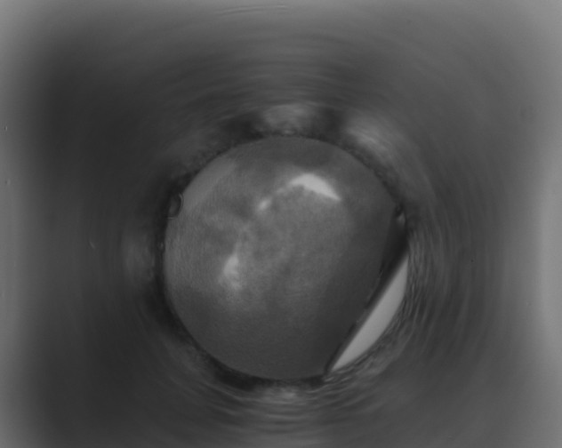X0000089730751200706281549