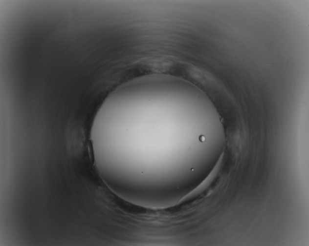 X0000089730752200706281549