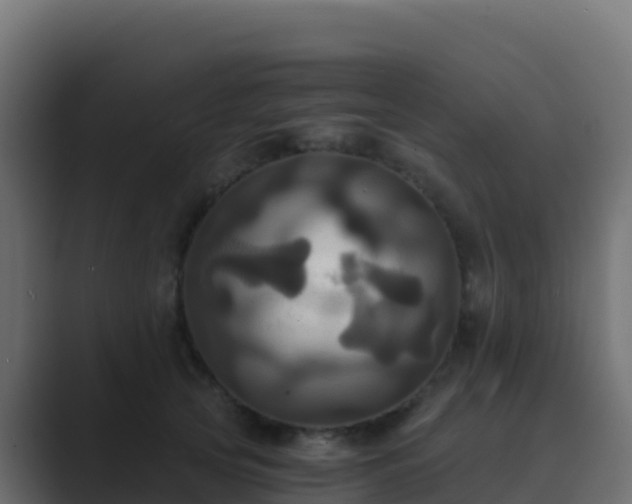 X0000089730753200706281549