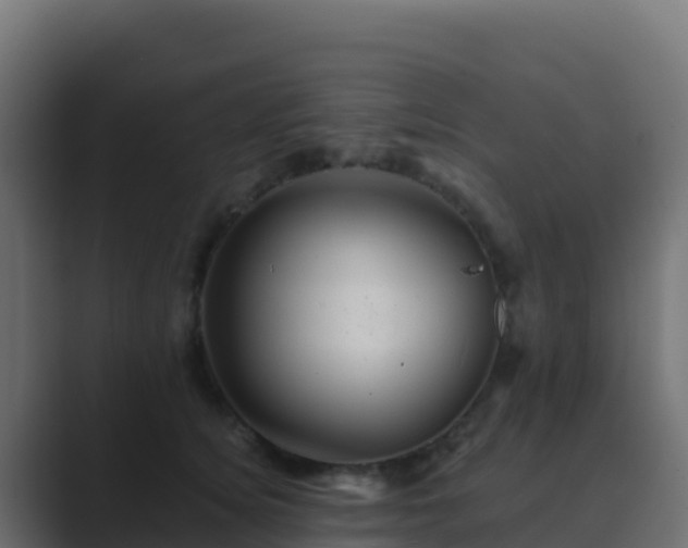 X0000089730756200706281549