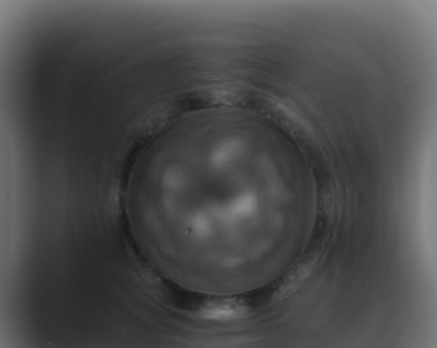 X0000089730757200706281549