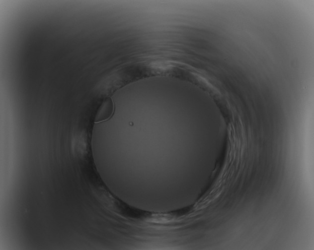 X0000089730758200706281549