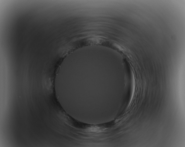 X0000089730759200706281549