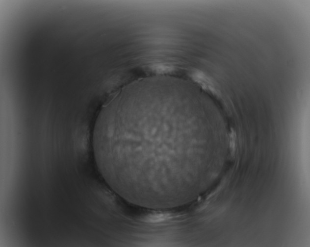 X0000089730760200706281549