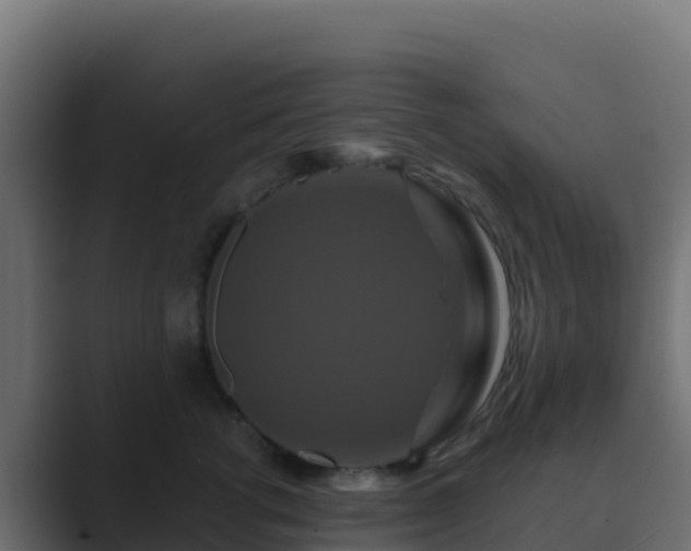 X0000089730762200706281549