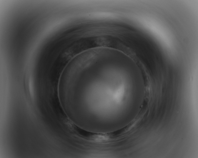 X0000089730765200706281549