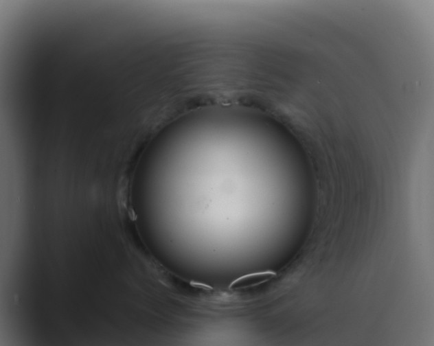 X0000089730768200706281549