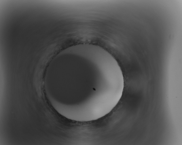 X0000089730769200706281548