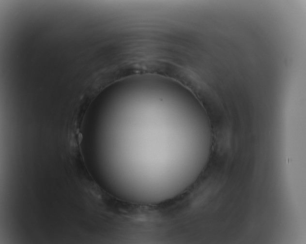 X0000089730770200706281548