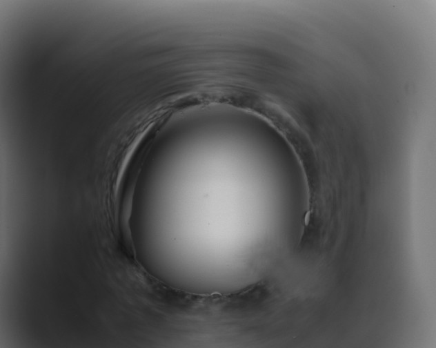 X0000089730773200706281548
