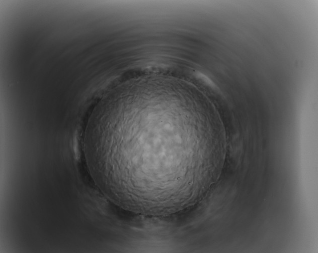 X0000089730774200706281548