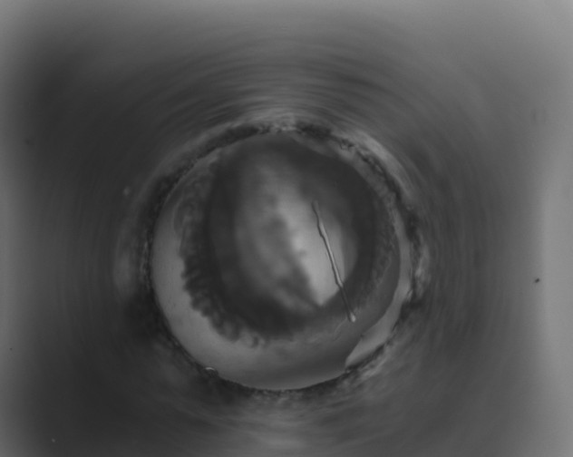 X0000089730775200706281548