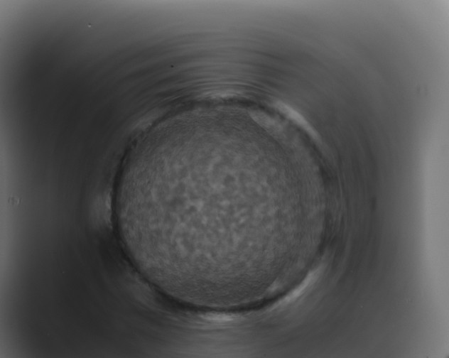 X0000089730777200706281548